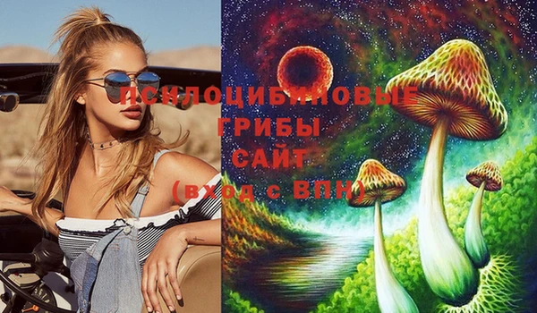 mdpv Мурманск