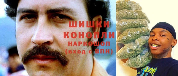 ПСИЛОЦИБИНОВЫЕ ГРИБЫ Кострома