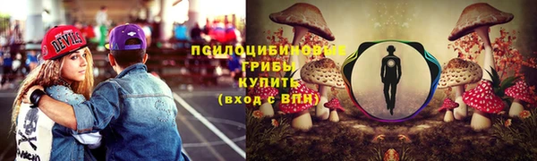 ПСИЛОЦИБИНОВЫЕ ГРИБЫ Кострома