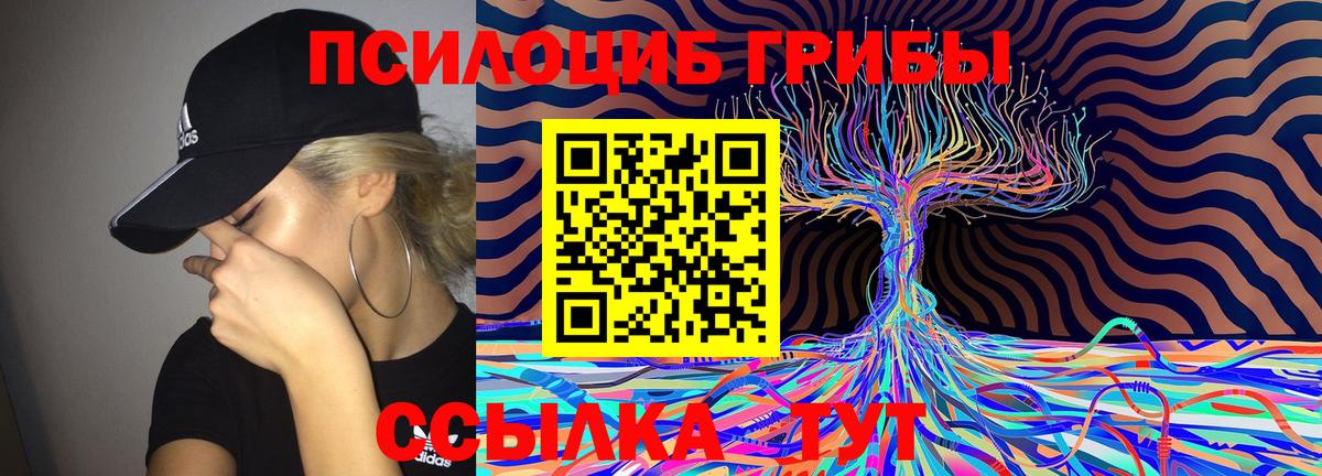 Галлюциногенные грибы Cubensis  Вход с VPN  Губаха  Галлюциногенные грибы GOLDEN TEACHER 