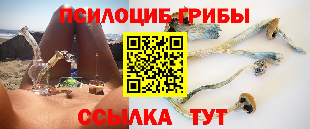Псилоцибиновые грибы MAGIC MUSHROOMS  Псилоцибиновые грибы MAGIC MUSHROOMS  Губаха 